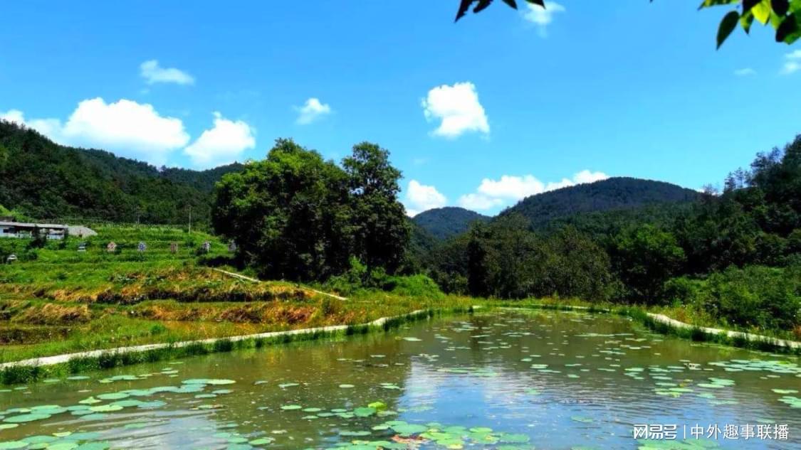 抖音双击自助下单平台教程：自媒体运营指南轻松获取稳定流量